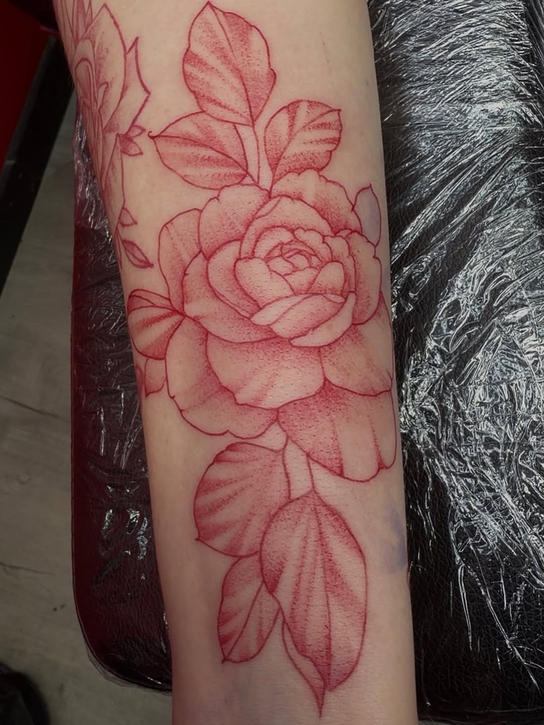 Tattoo by @tatsbycurtii — dotwork, fine_line