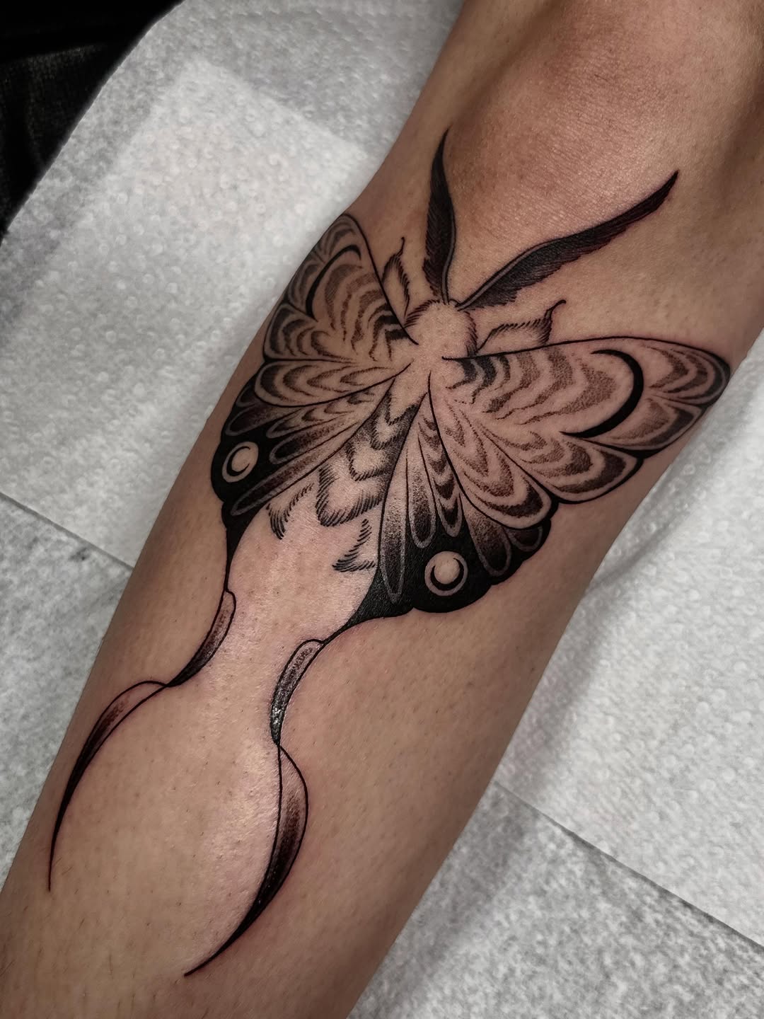 Tattoo by @nox.ternal β black_and_grey, fine_line