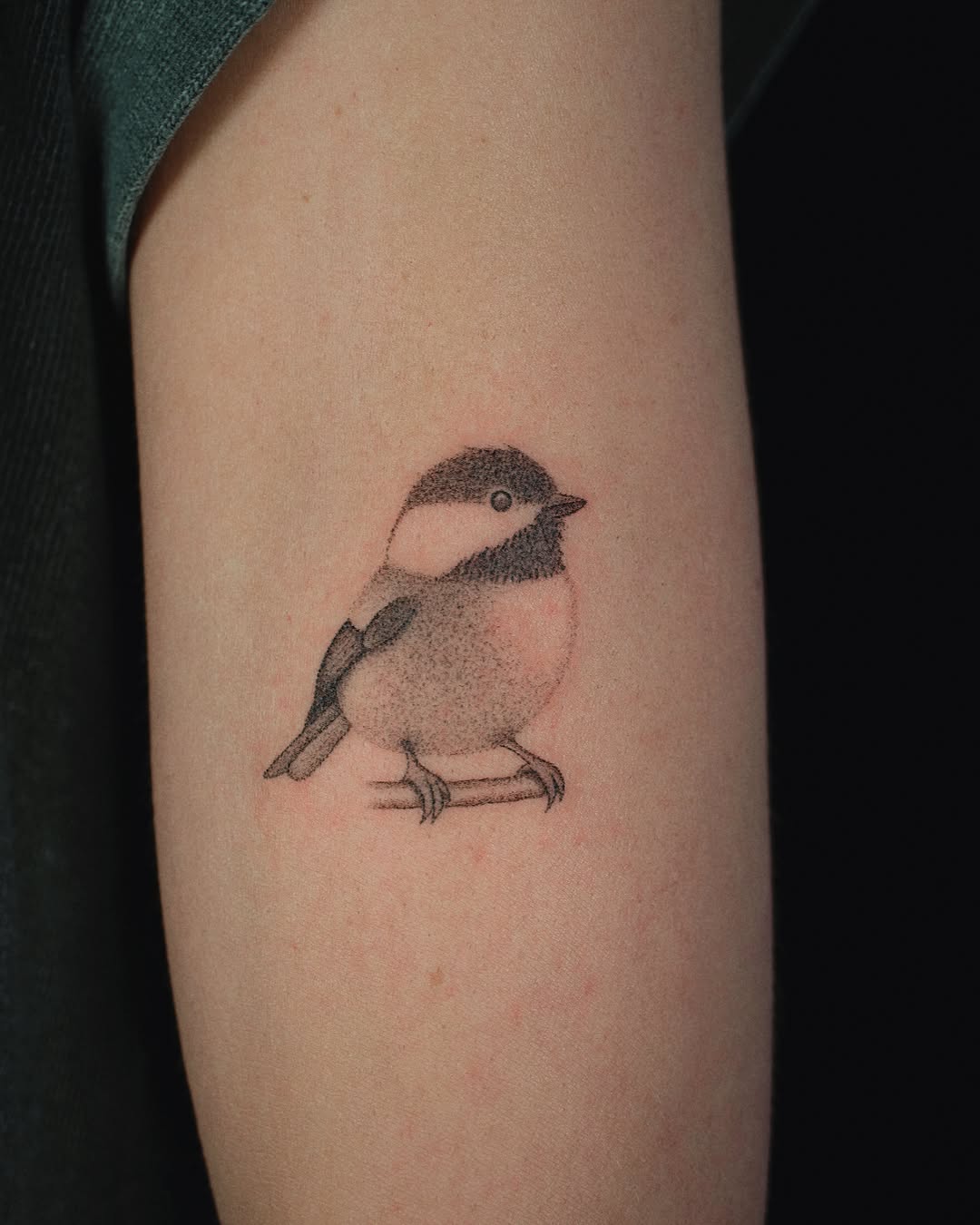 Tattoo by @elsietattoo — dotwork, realism
