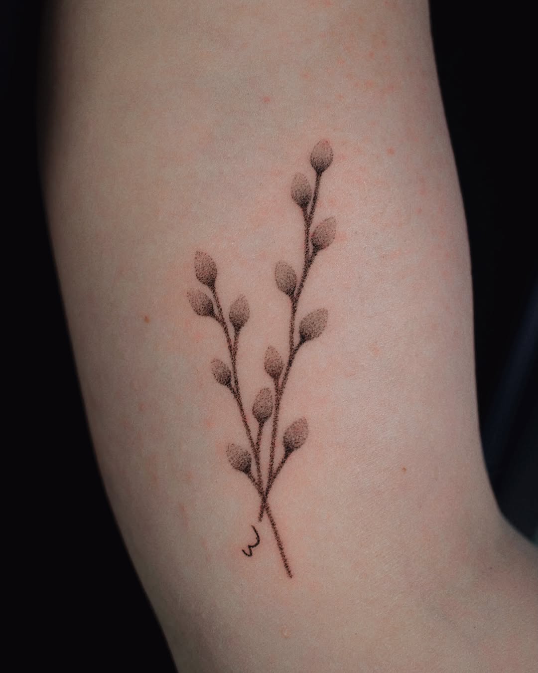 Tattoo by @elsietattoo — dotwork, fine_line