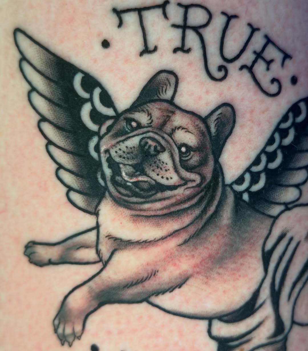 Tattoo by @hollimarieart — american_traditional, realism