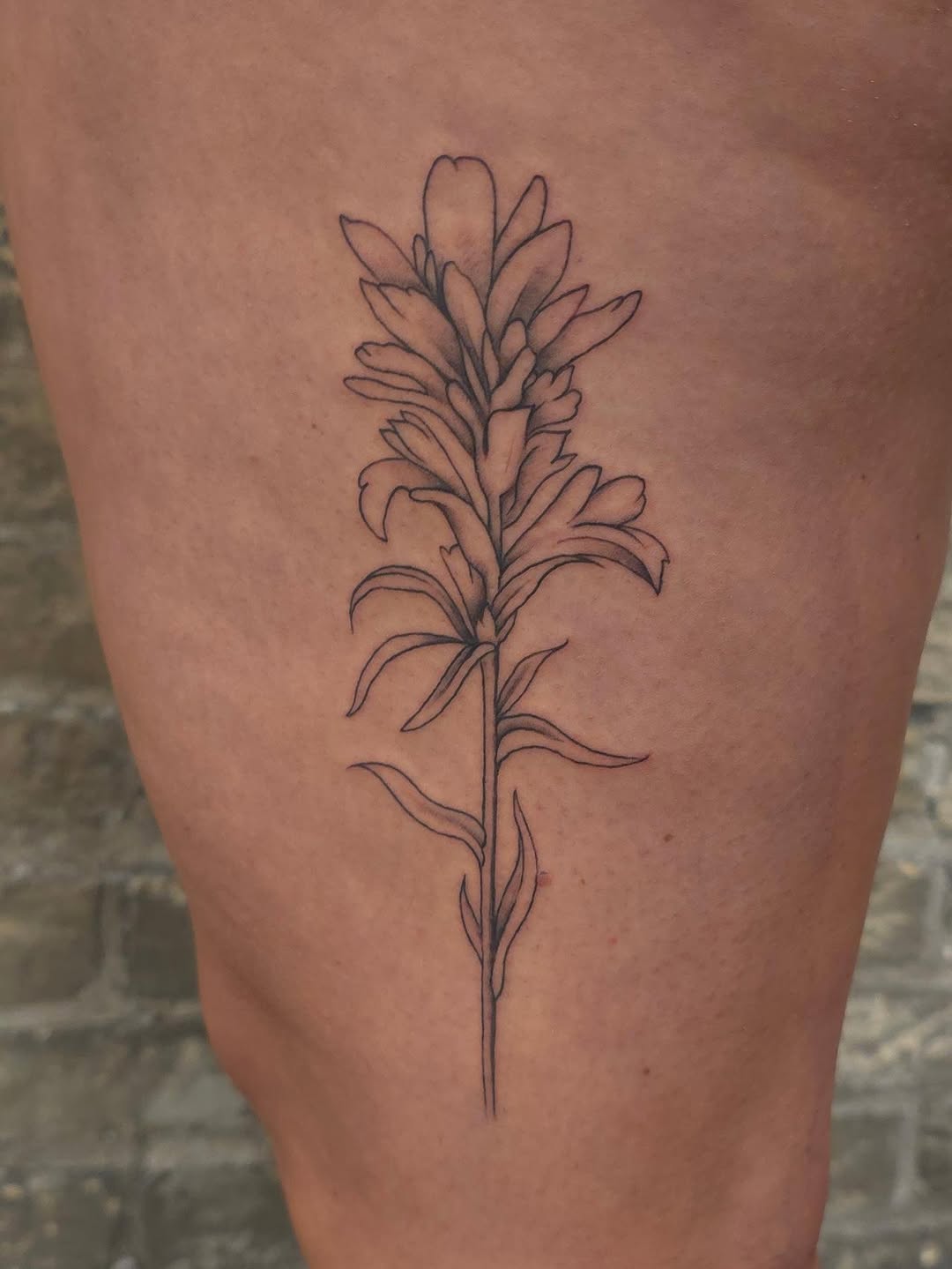 Tattoo by @tattoos_bytrinity โ fine_line, illustrative