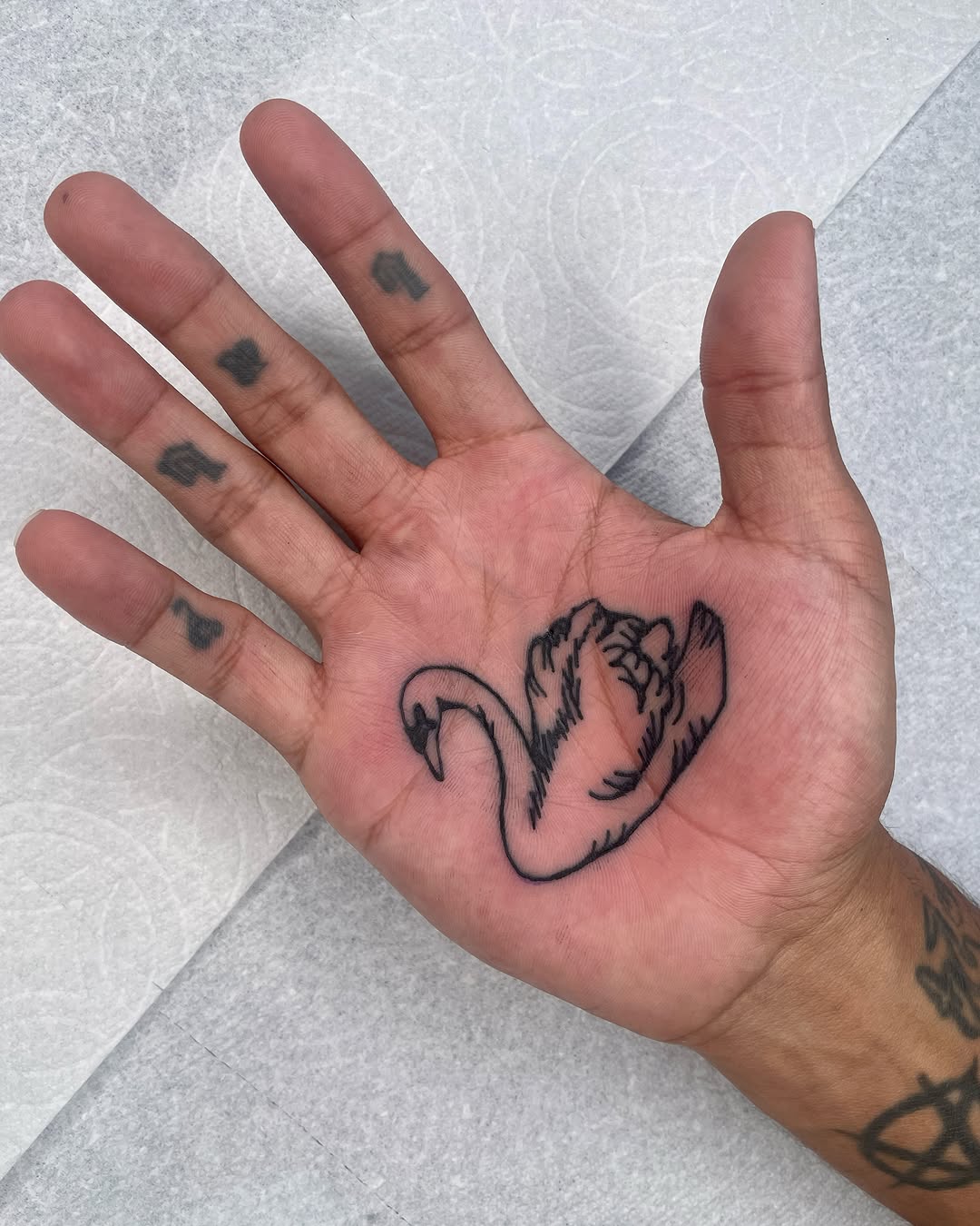 Tattoo by @tattedbypoison — illustrative, blackwork