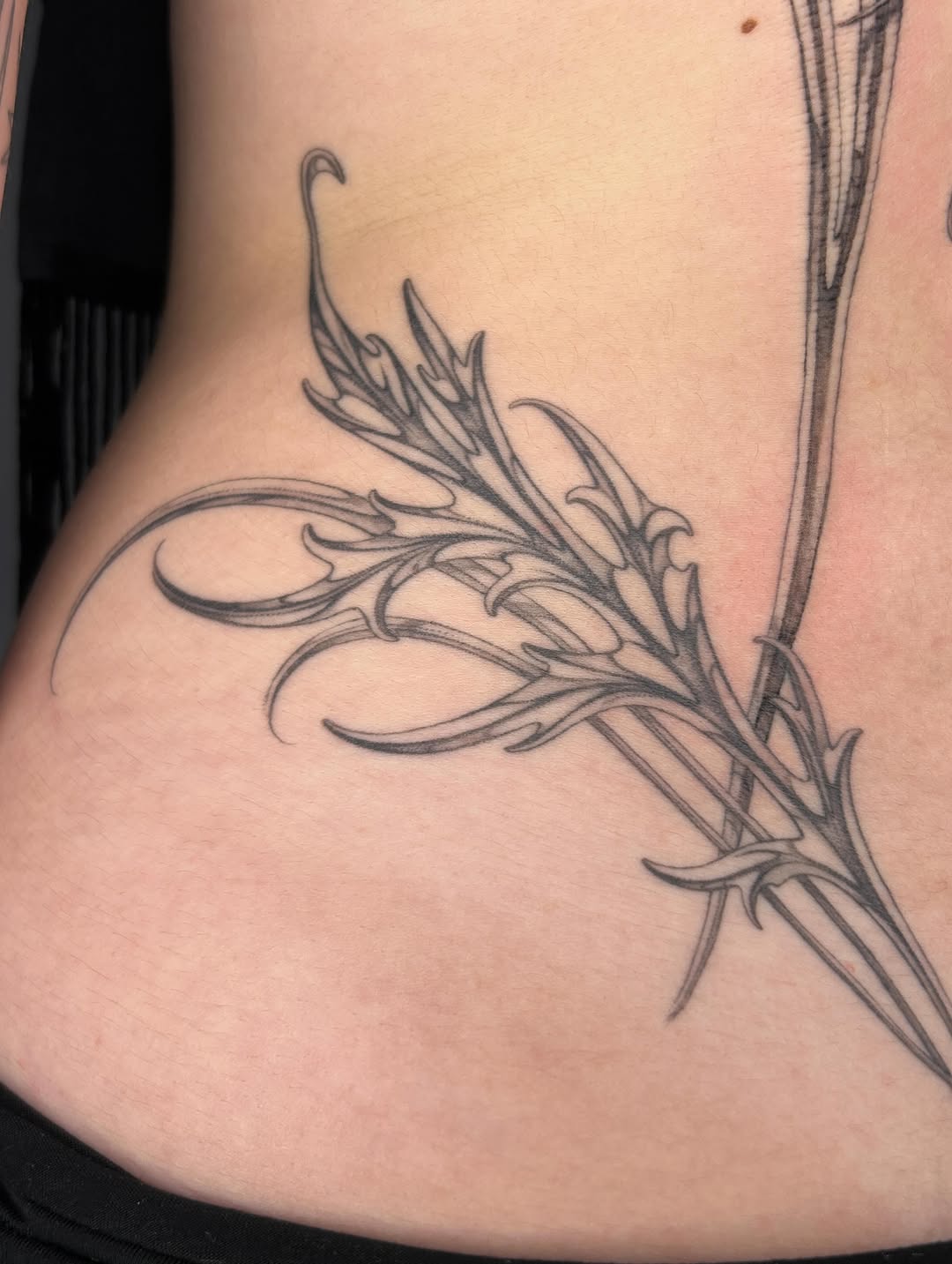 Tattoo by @late_bloom3r โ fine_line, ornamental