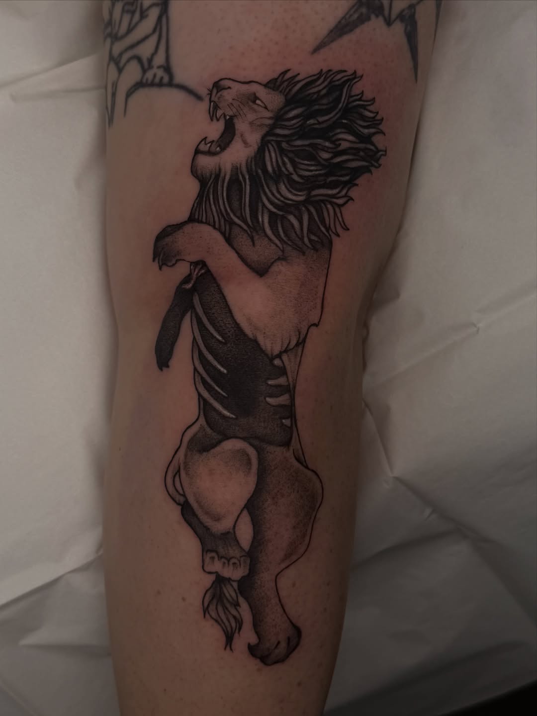 Tattoo by @hexhalle — blackwork, illustrative