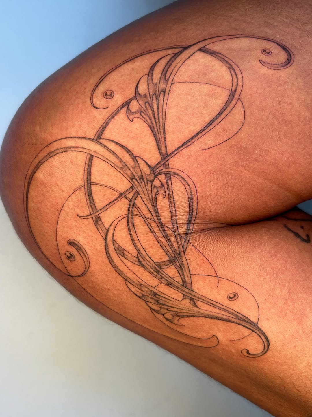 Tattoo by @late_bloom3r โ ornamental, fine_line