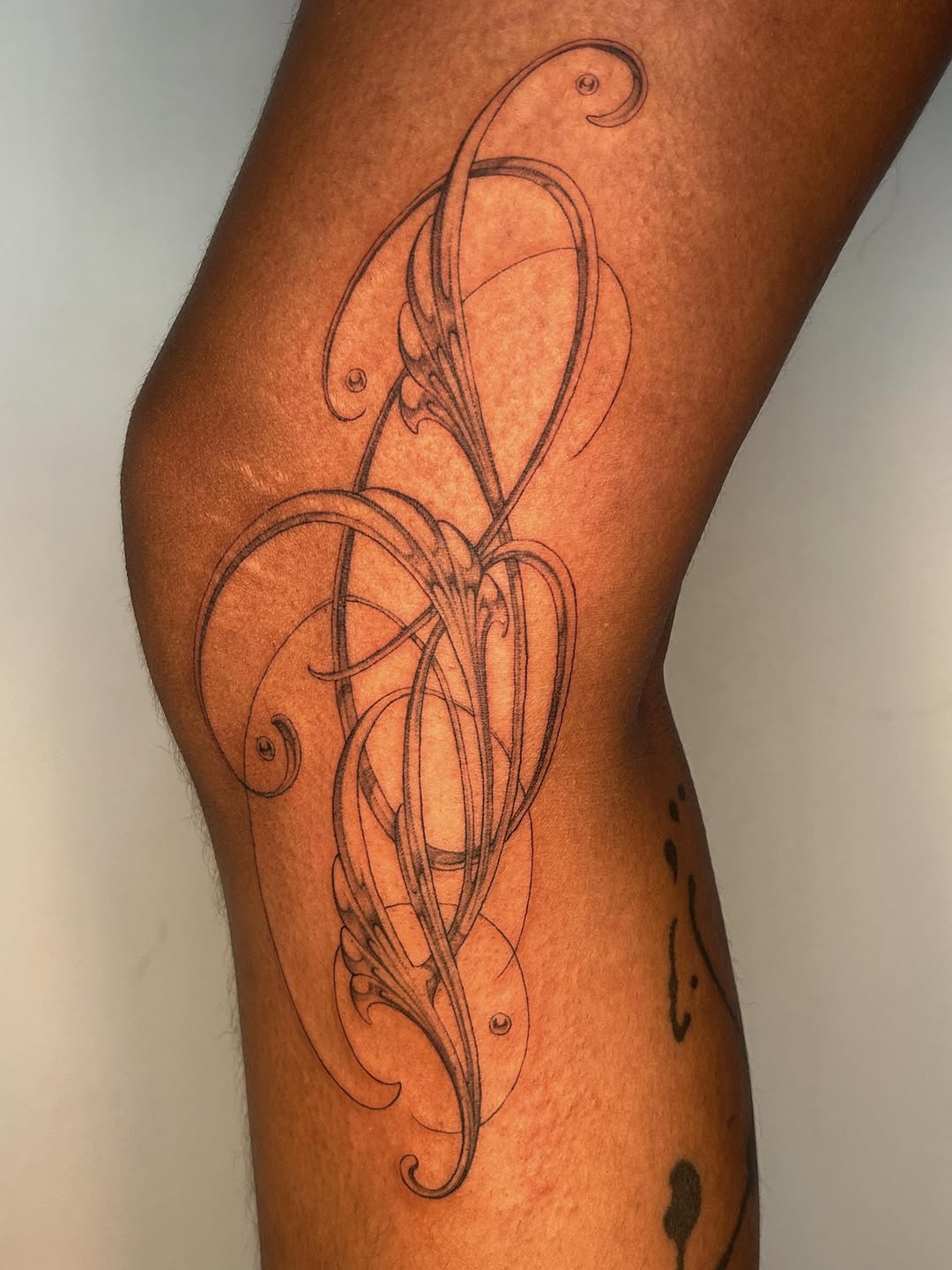 Tattoo by @late_bloom3r โ ornamental, fine_line