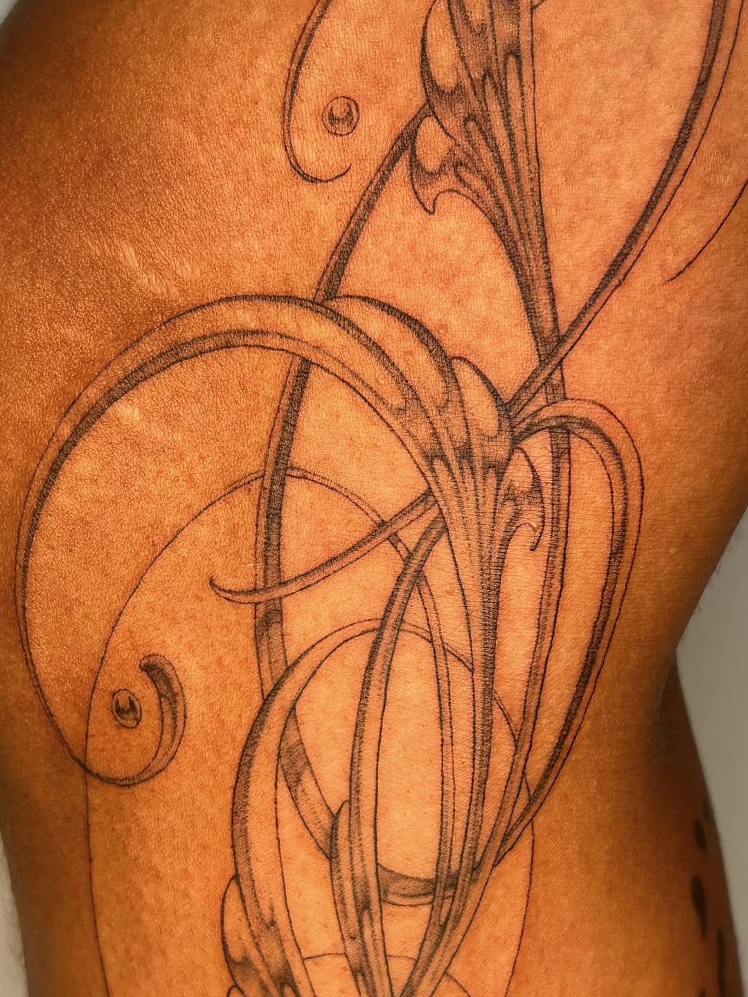Tattoo by @late_bloom3r โ ornamental, fine_line