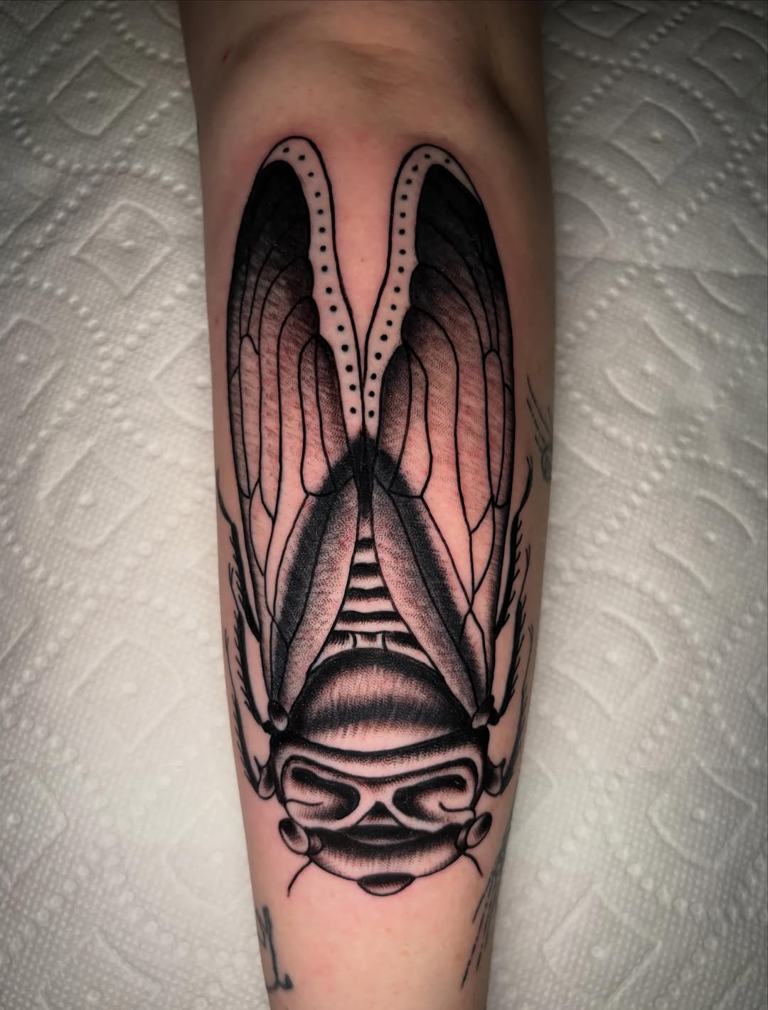 Tattoo by @chemical_adhesive — black_and_grey, dotwork