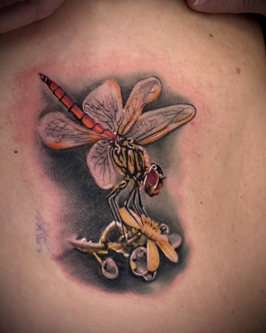 Tattoo by @ryno_ink โ realism, black_and_grey