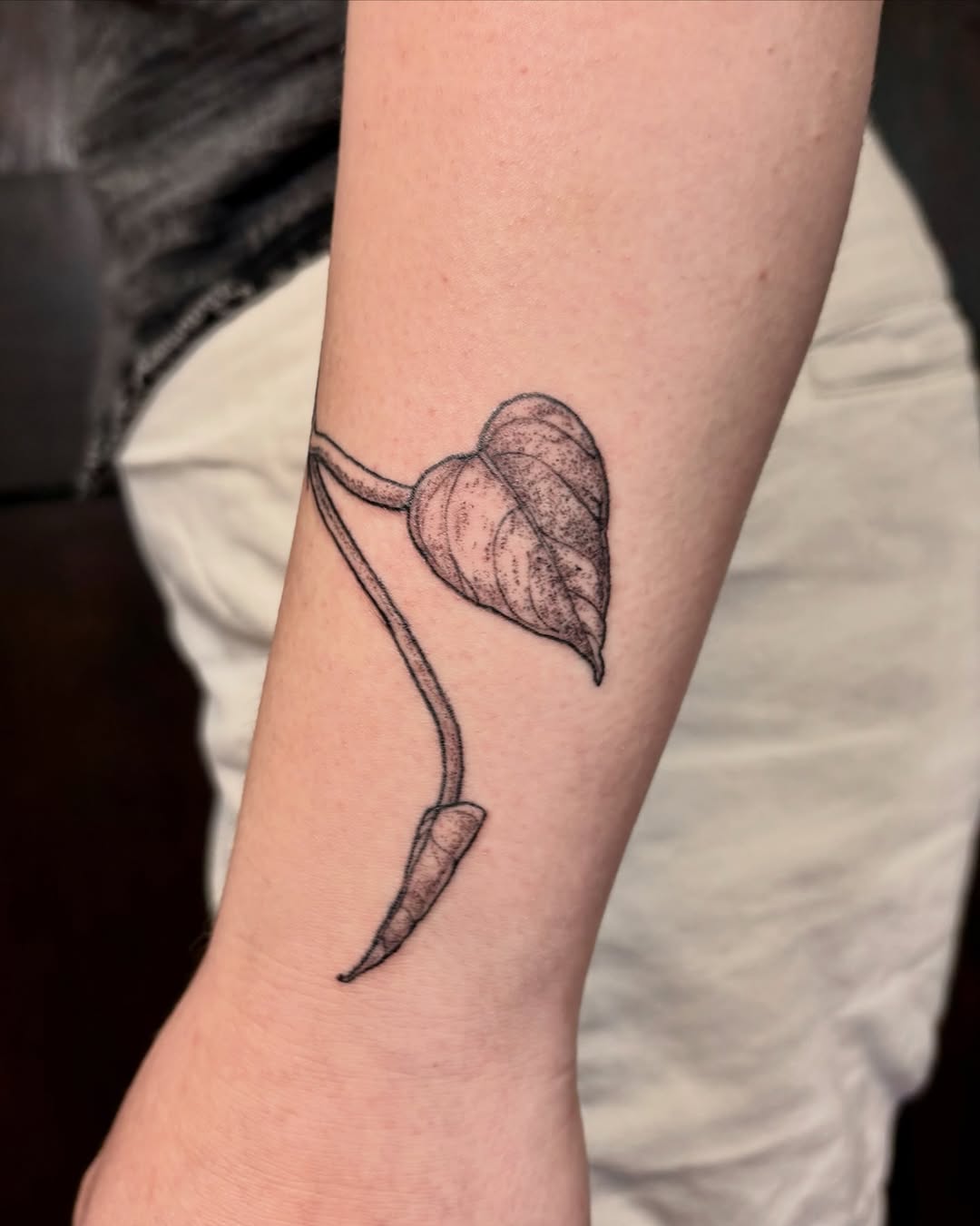 Tattoo by @kane_tattoos — dotwork