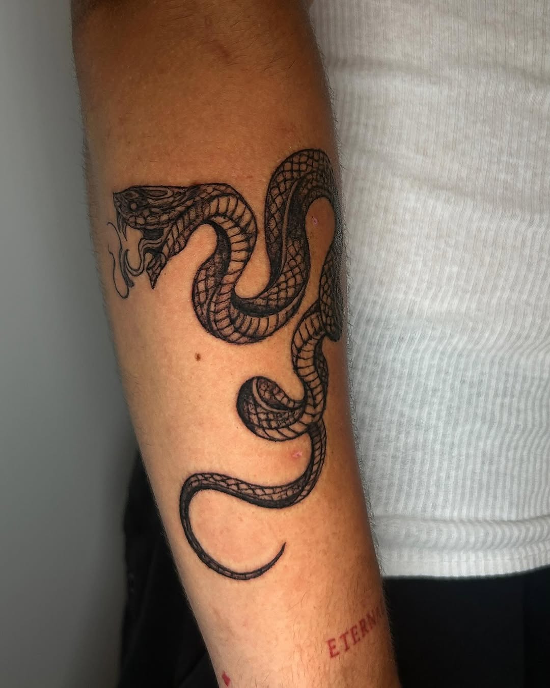 Tattoo by @fivi_lu — black_and_grey, illustrative