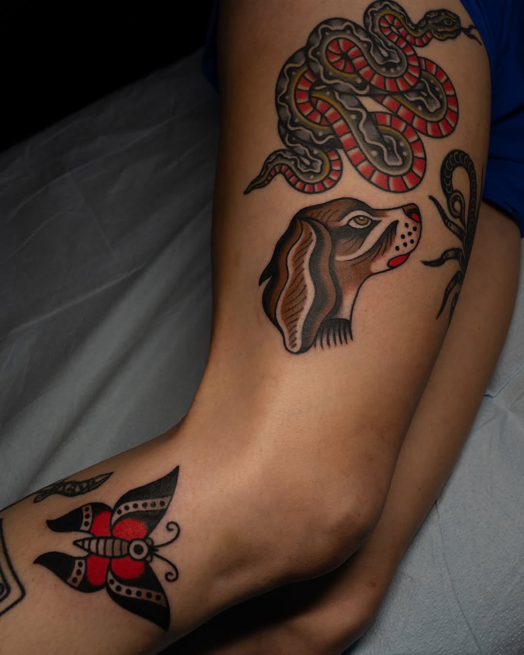 Tattoo by @adamjacksontattoos — american_traditional