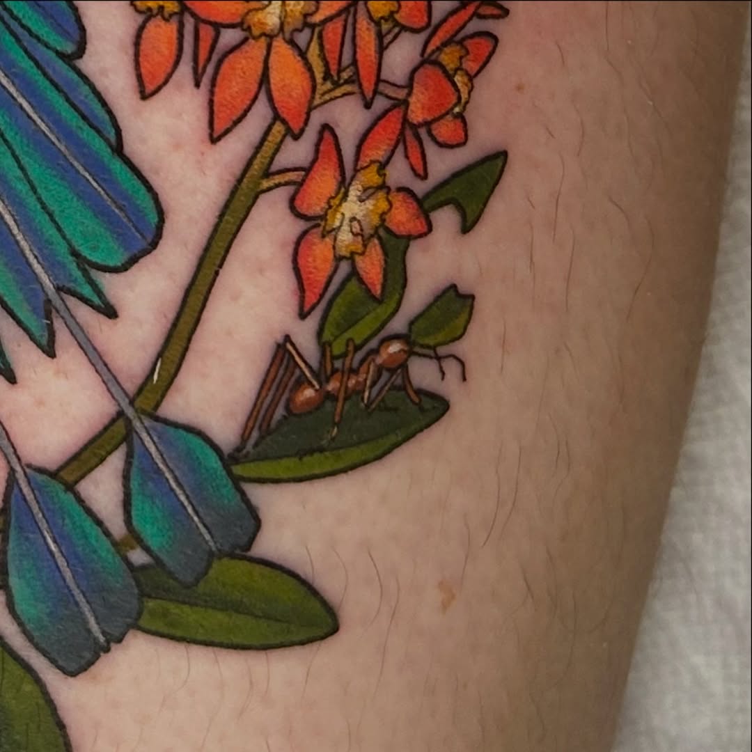 Tattoo by @annasylvantattoos โ illustrative, realism