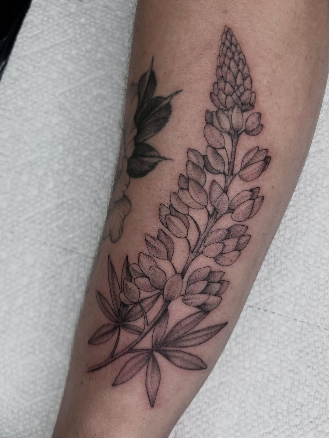 Tattoo by @oliviafoxtattoo — black_and_grey, illustrative