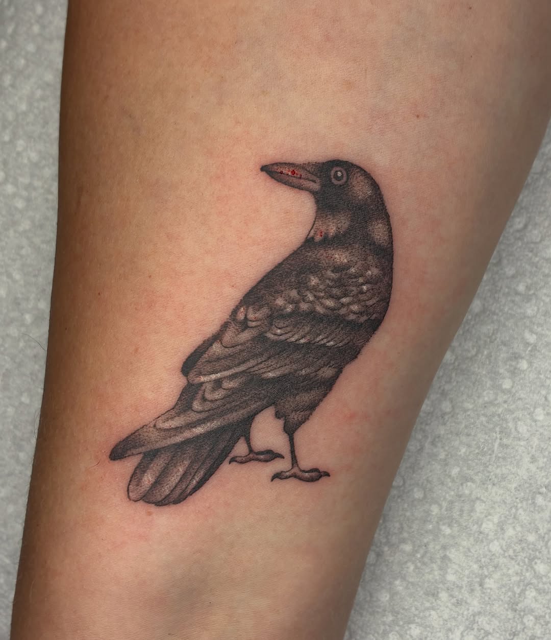 Tattoo by @shark_boy_tattoos โ realism, black_and_grey