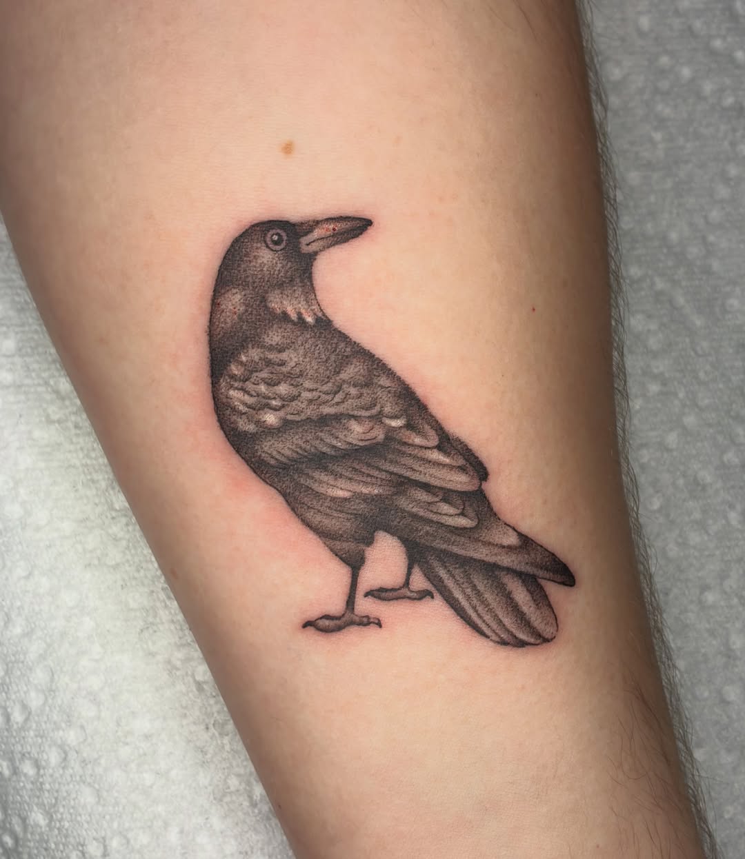 Tattoo by @shark_boy_tattoos โ realism, black_and_grey