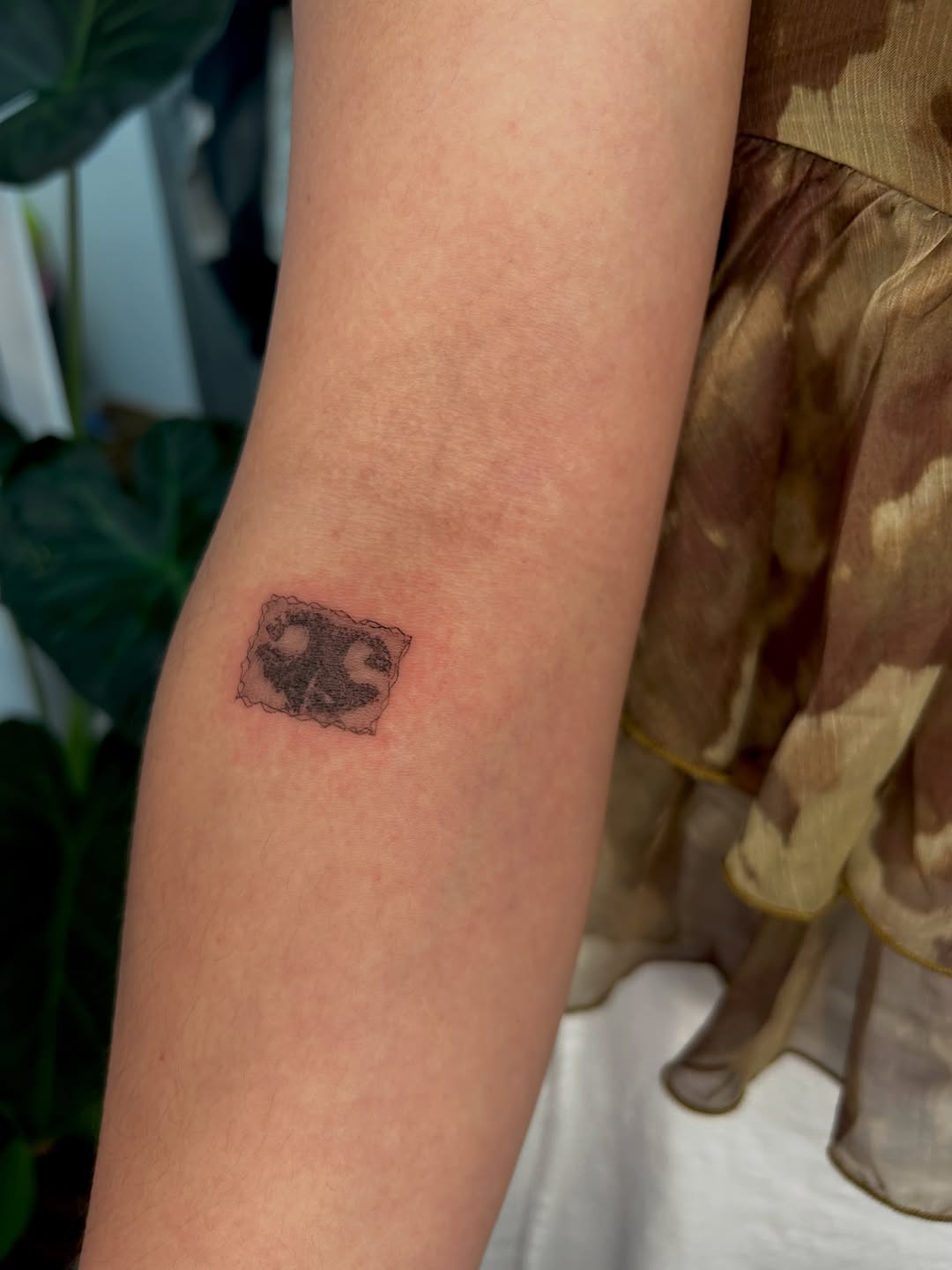 Tattoo by @rainfrog.gg — illustrative, black_and_grey