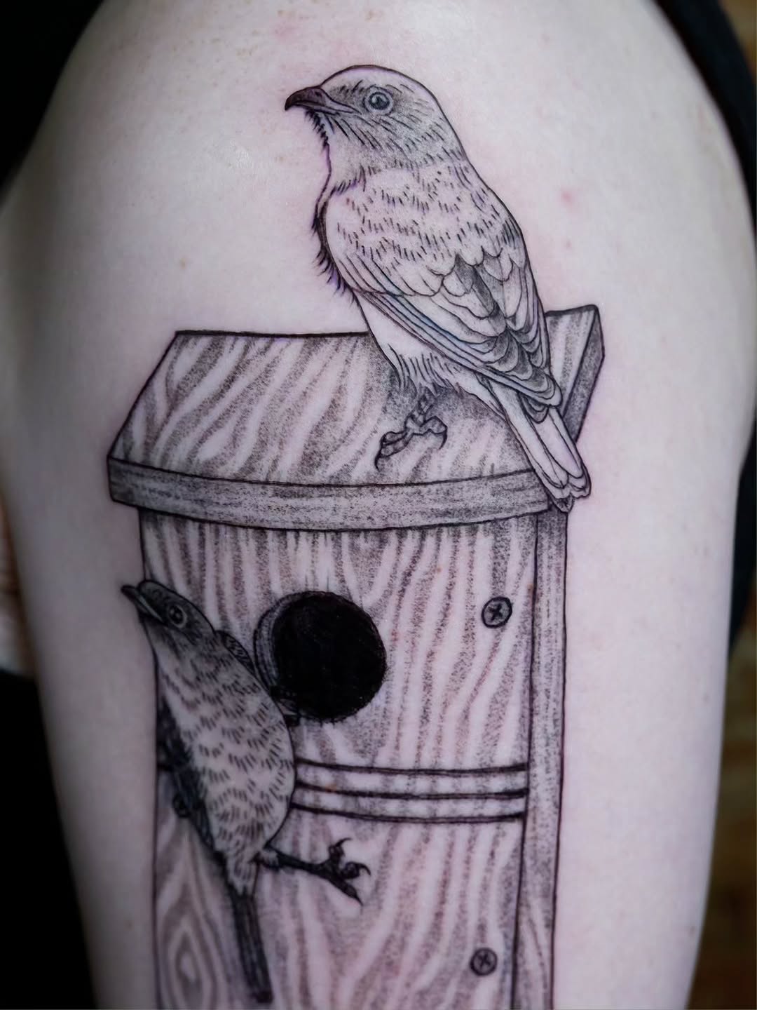 Tattoo by @birdtat — black_and_grey