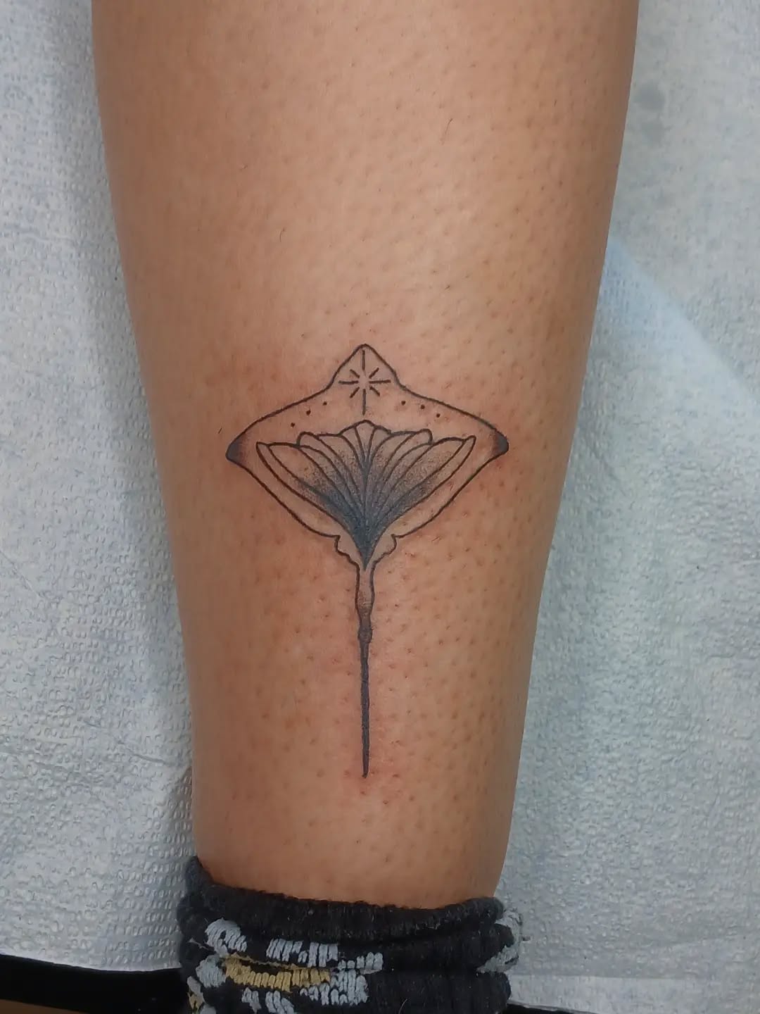 Tattoo by @amberculttattoos — fine_line
