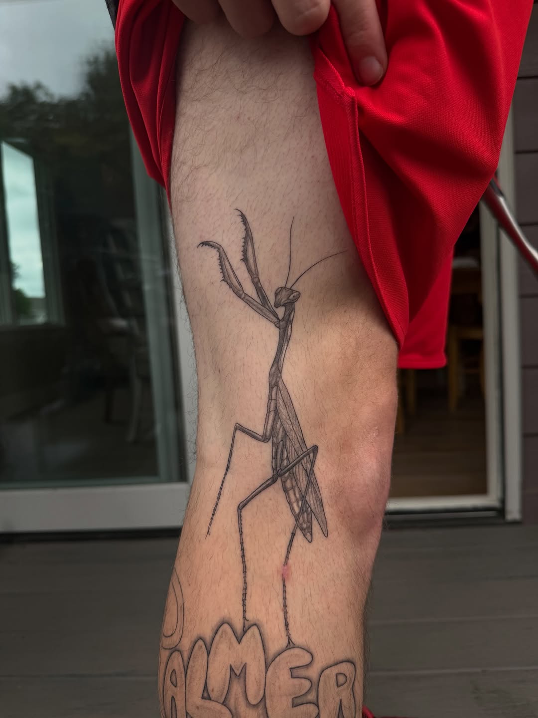 Tattoo by @ink_darling — illustrative, black_and_grey