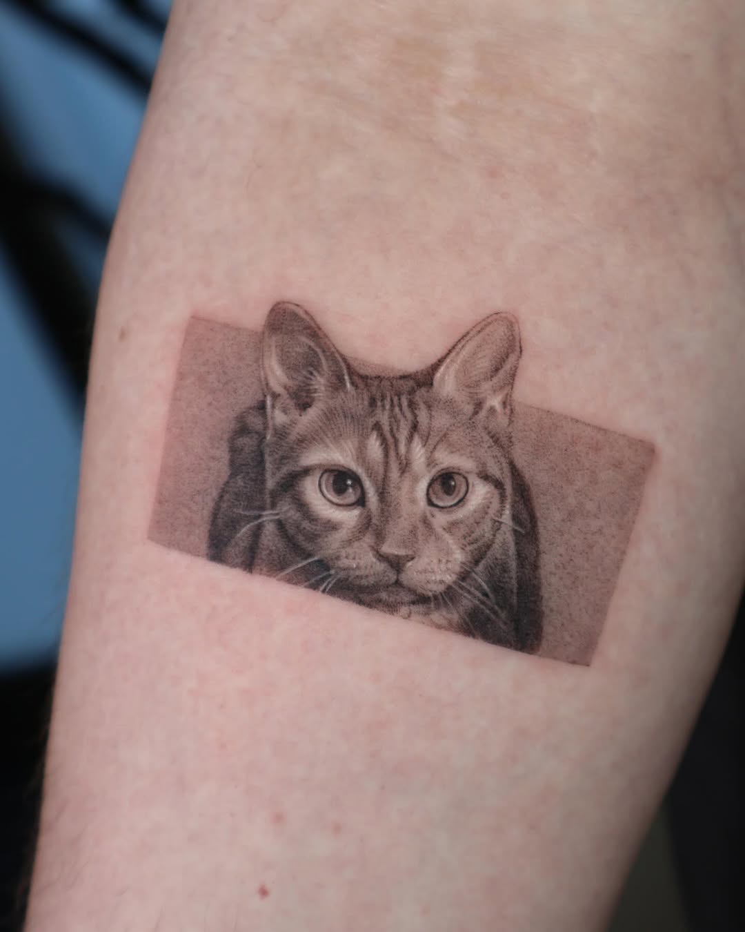 Tattoo by @yumemonchi — realism, black_and_grey