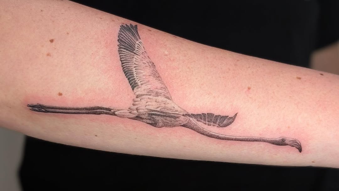 Tattoo by @arave.art โ realism, dotwork