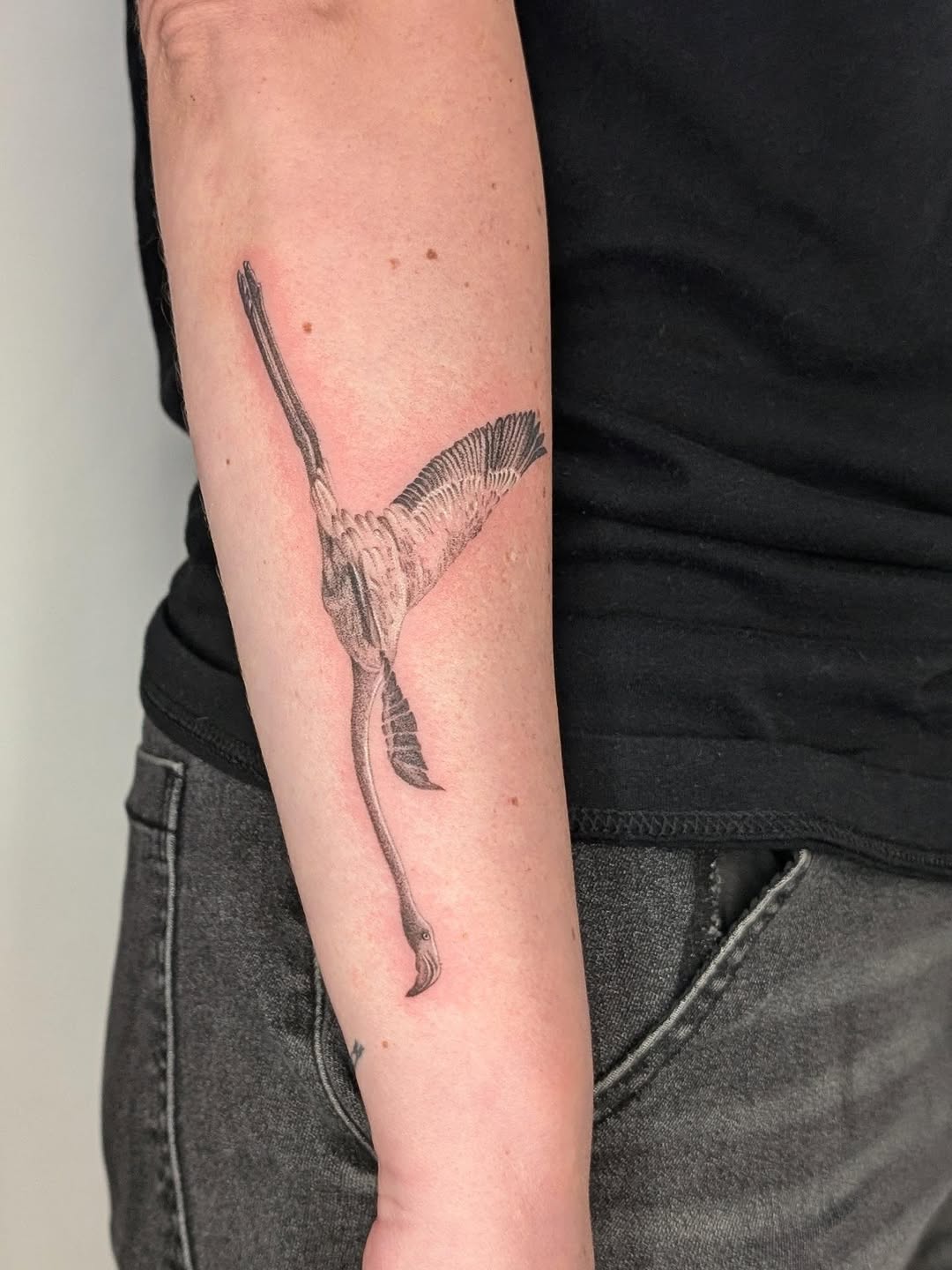 Tattoo by @arave.art โ realism, dotwork