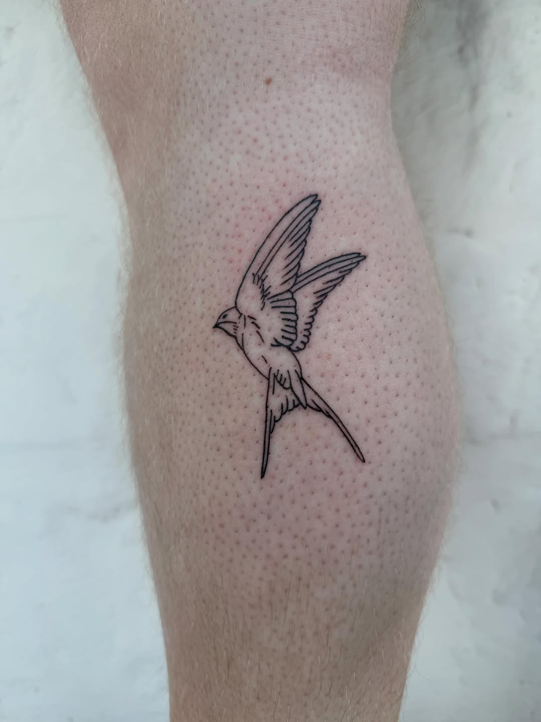 Tattoo by @meatofsnail — fine_line