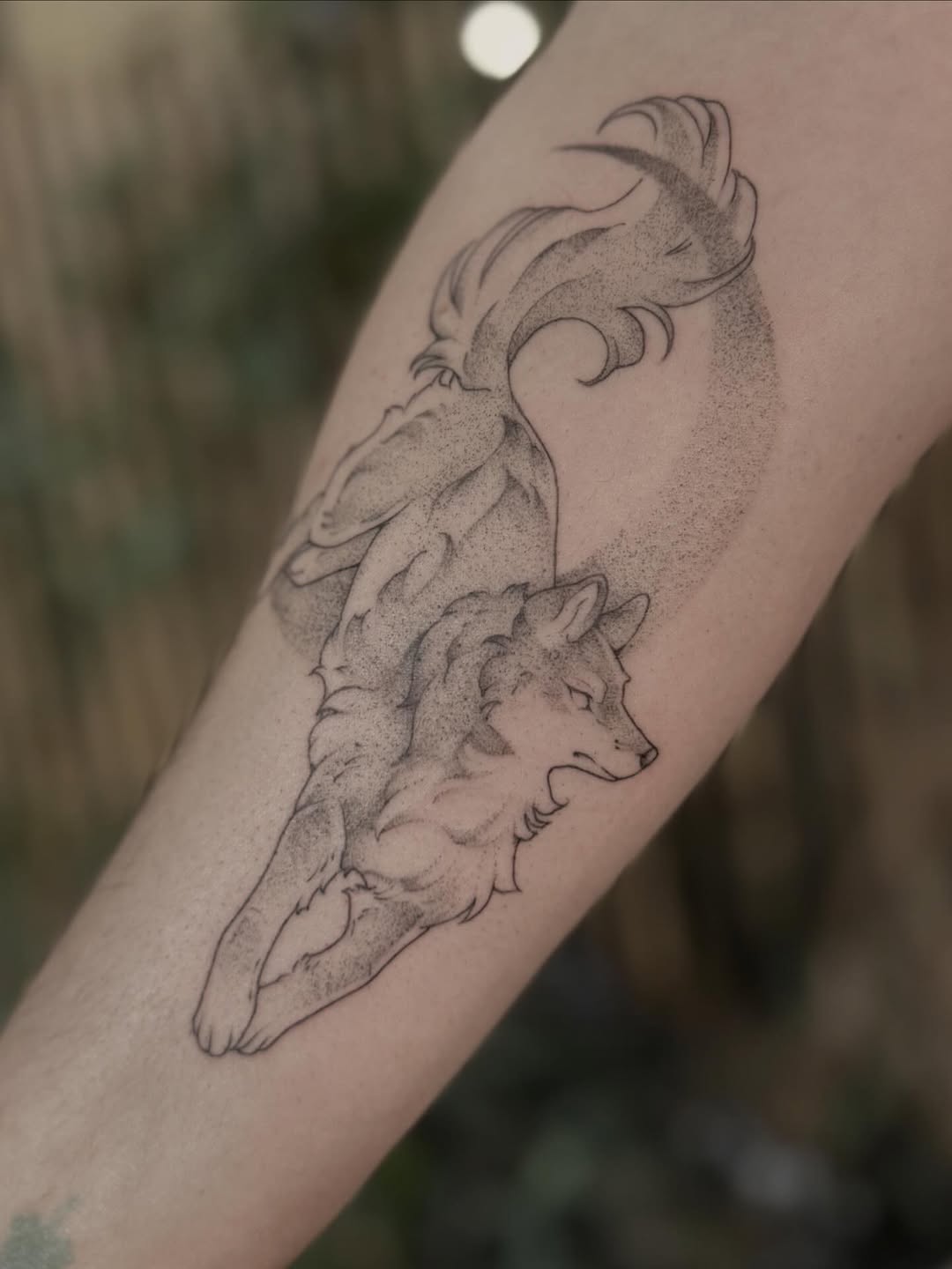 Tattoo by @pixi.bite — dotwork, black_and_grey