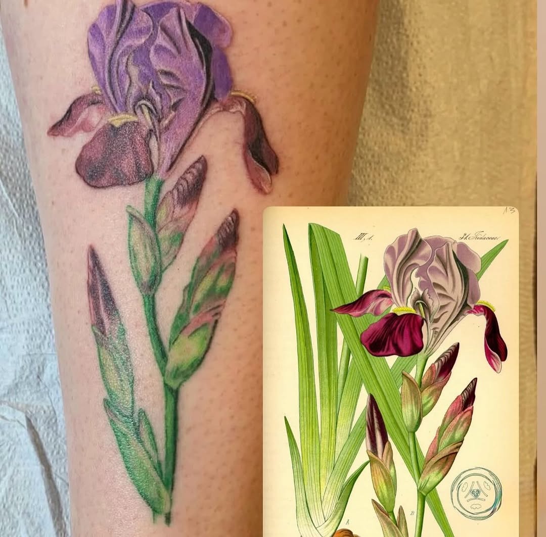 Tattoo by @enda_tattoo — realism, illustrative