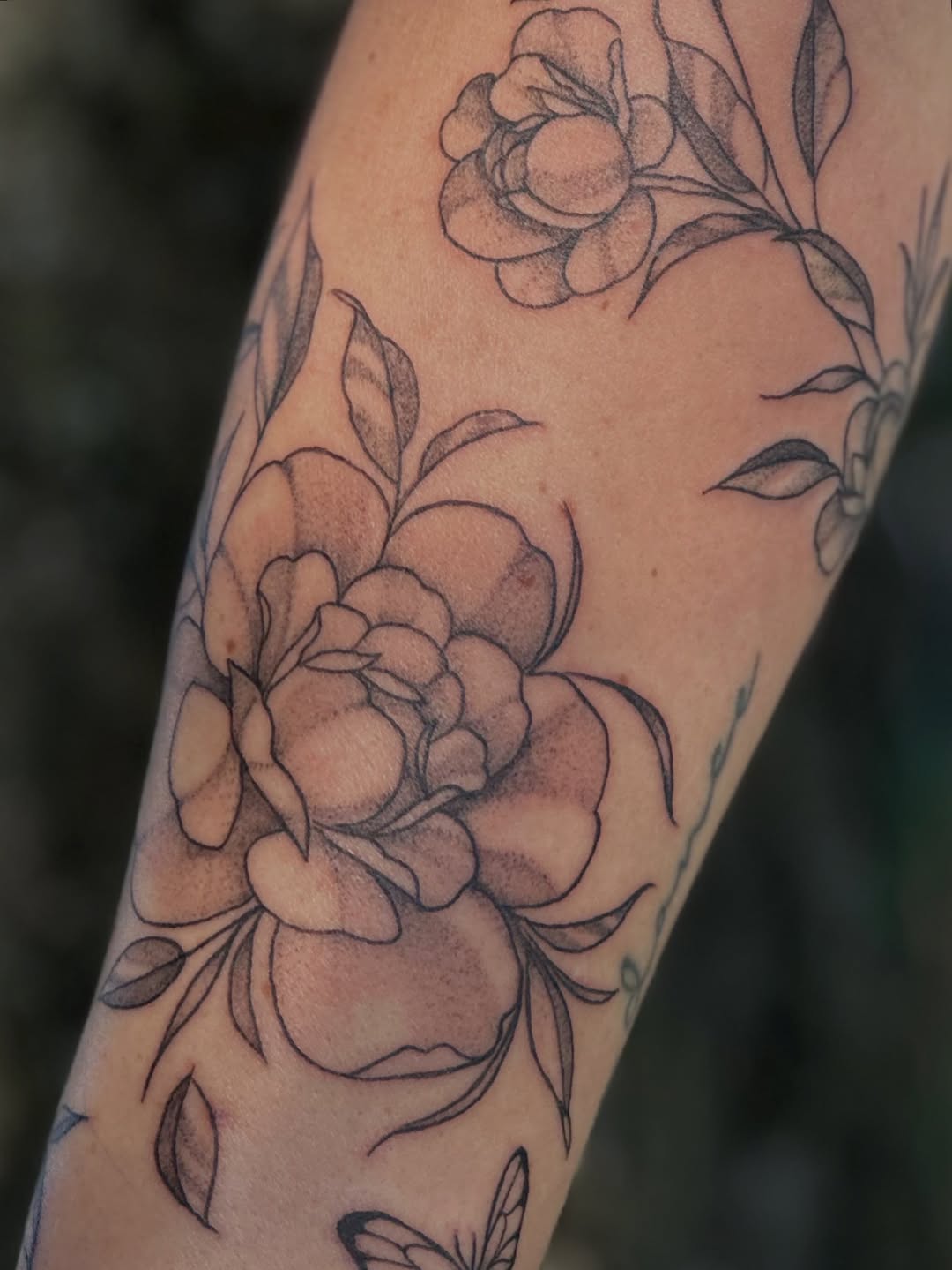 Tattoo by @natalierose.tattoo โ fine_line, black_and_grey