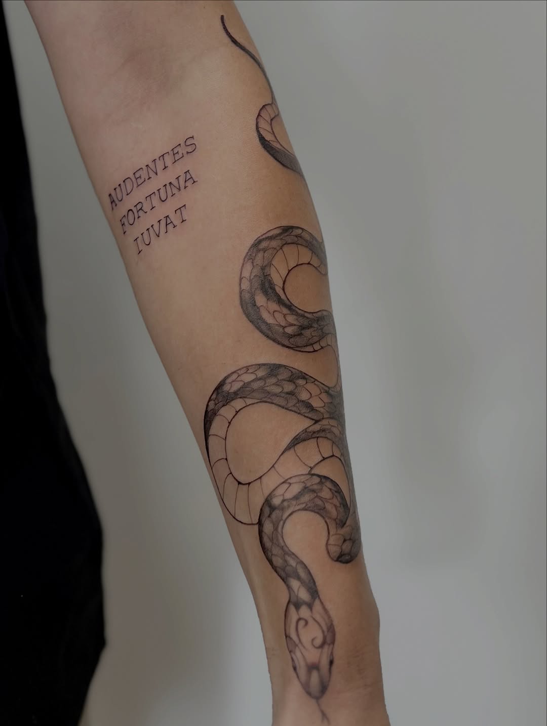 Tattoo by @hvley.ink — fine_line, lettering_script