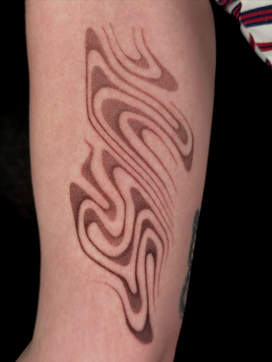 Tattoo by @tenderpoke — dotwork, geometric