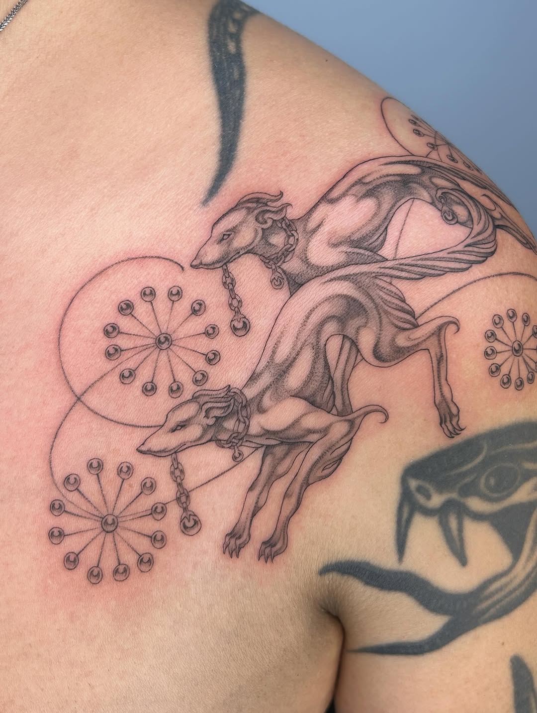 Tattoo by @late_bloom3r โ black_and_grey, realism