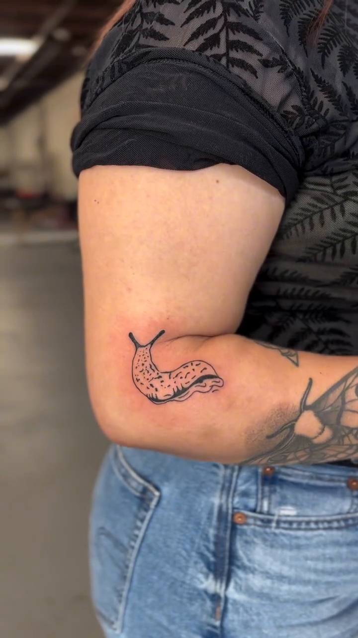 Tattoo by @katebehr_tattoo — fine_line