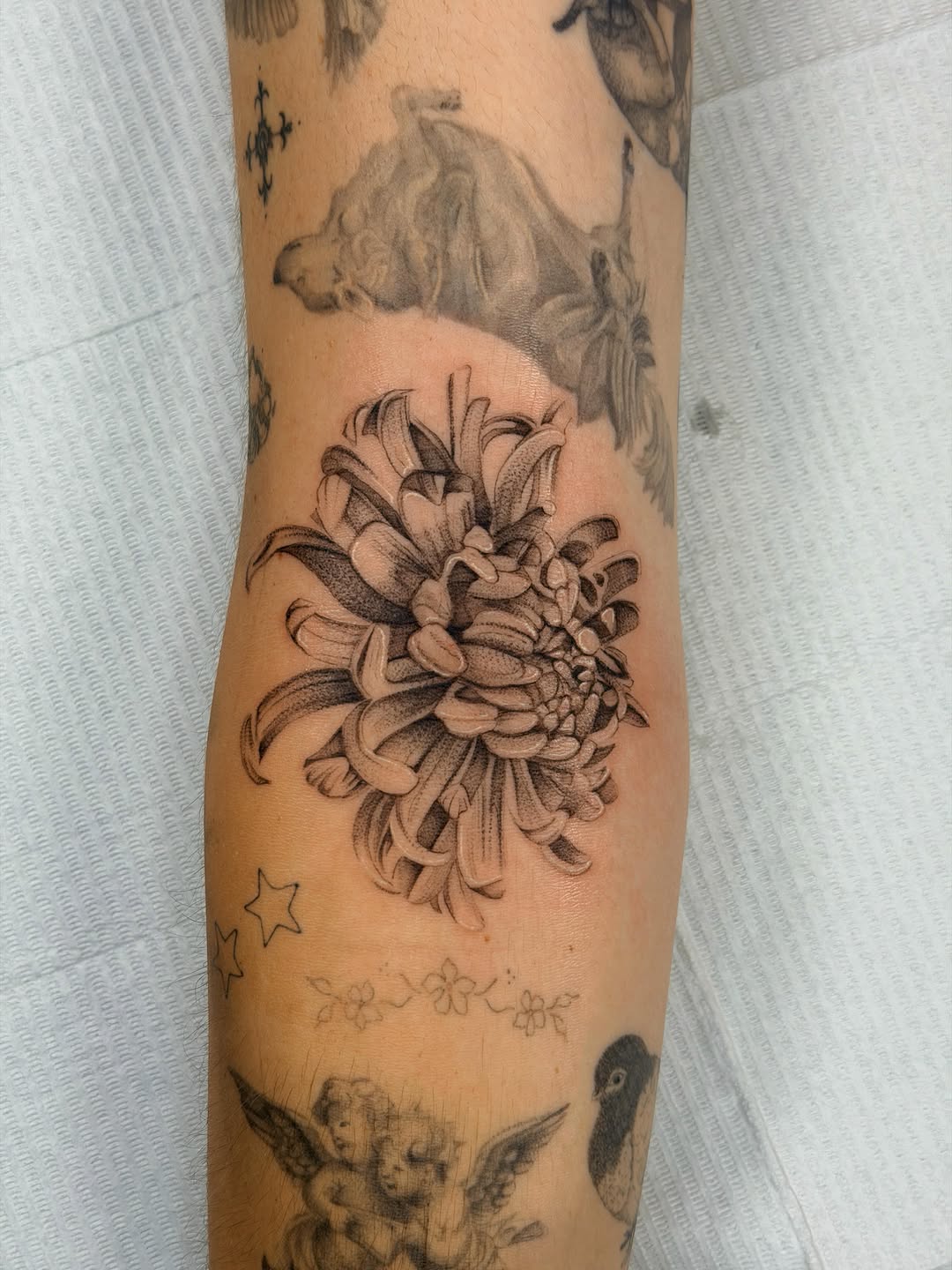 Tattoo by @studioweaverr — black_and_grey, realism