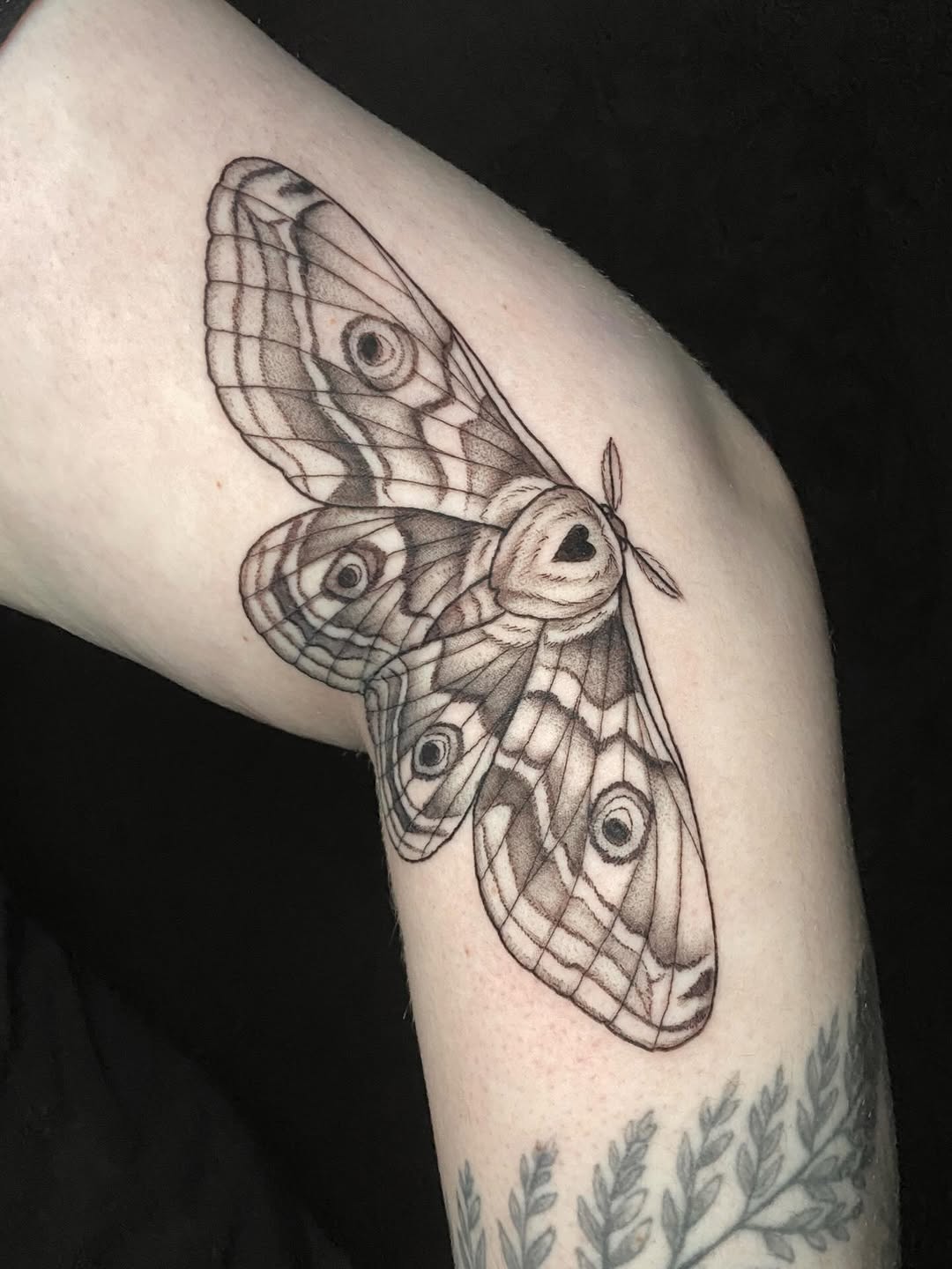 Tattoo by @dawncarrtattoos — black_and_grey, illustrative