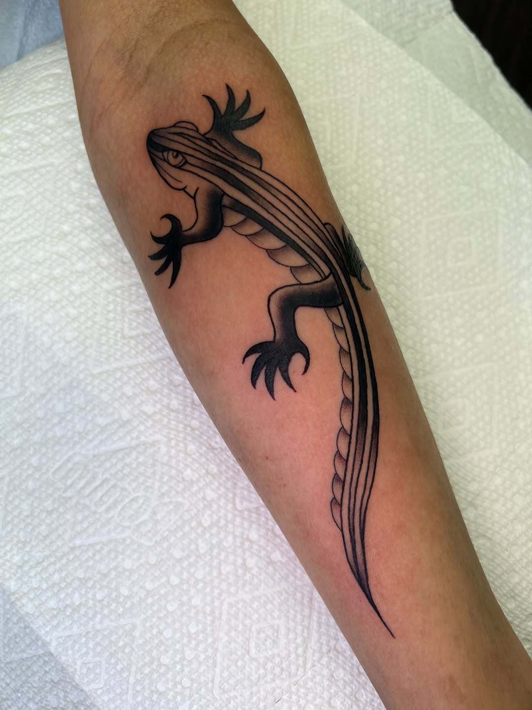 Tattoo by @blair_witch_ink โ black_and_grey, fine_line
