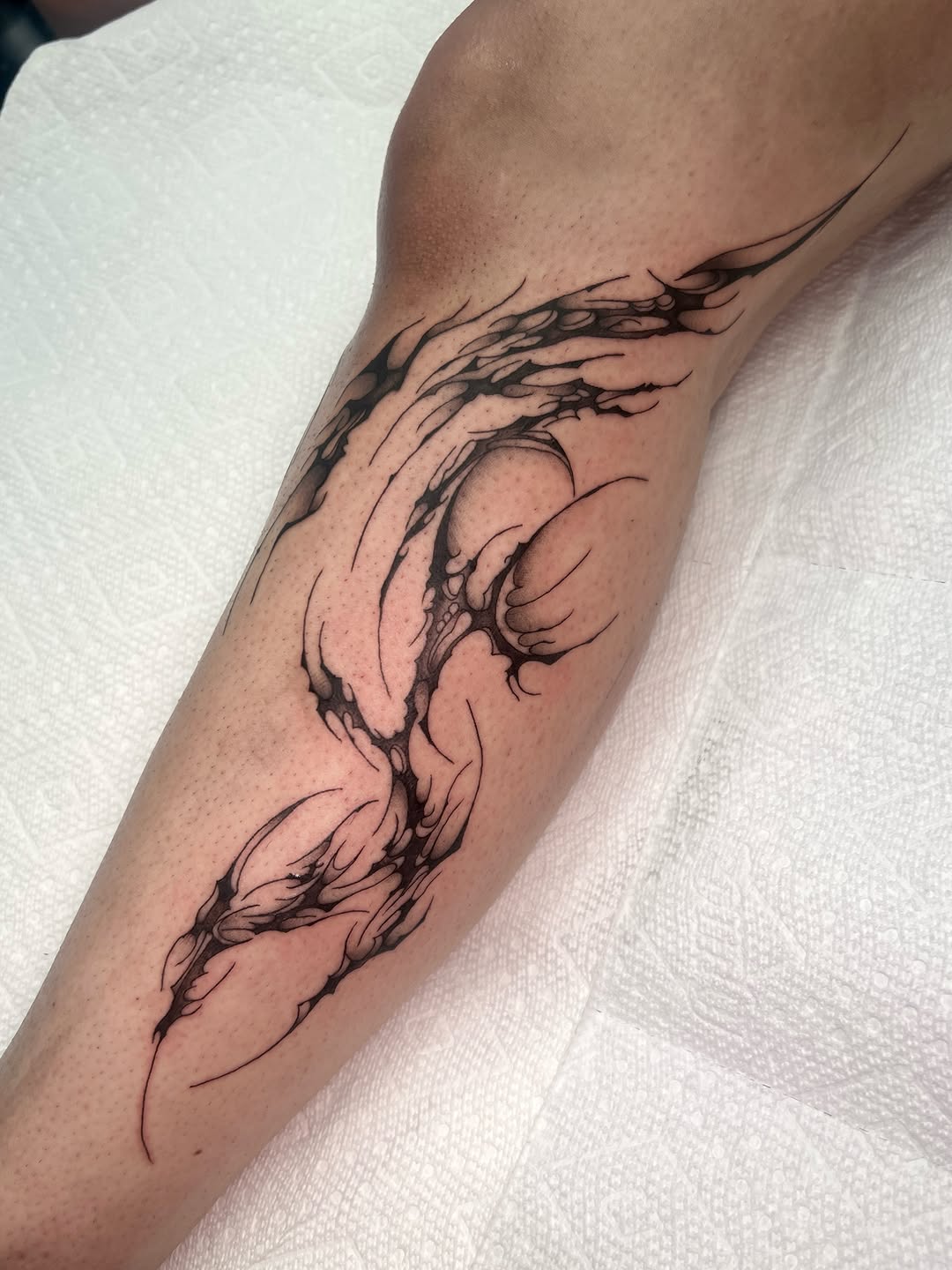 Tattoo by @blair_witch_ink โ blackwork, ornamental