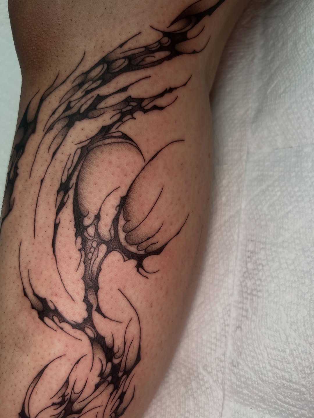 Tattoo by @blair_witch_ink โ blackwork, ornamental