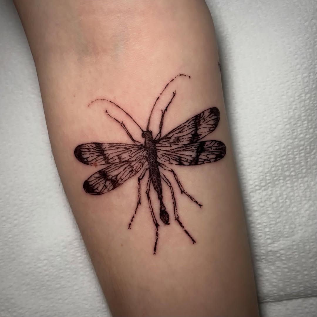 Tattoo by @unknownliquids — fine_line, black_and_grey