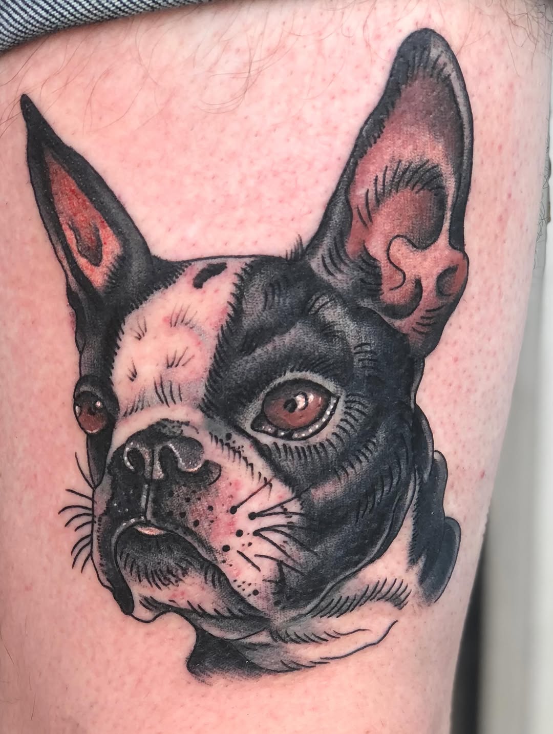 Tattoo by @sctattooer — realism, illustrative