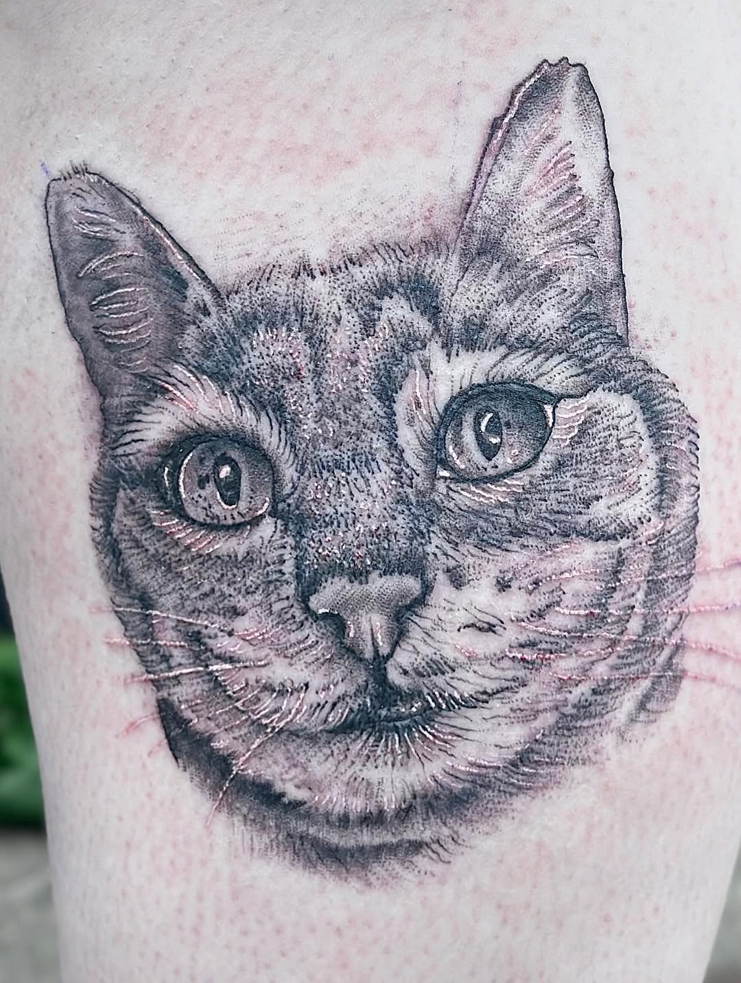 Tattoo by @sctattooer — realism, black_and_grey