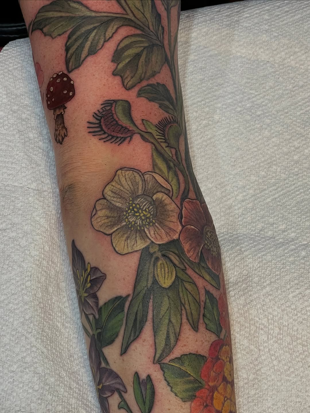 Tattoo by @courtneyann_arts — realism, botanical