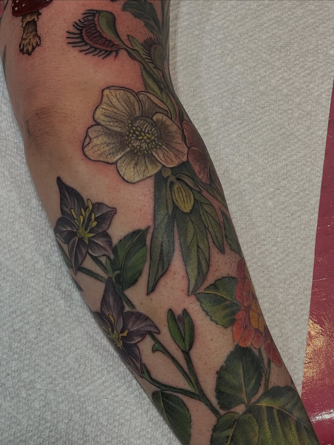 Tattoo by @courtneyann_arts — realism, black_and_grey