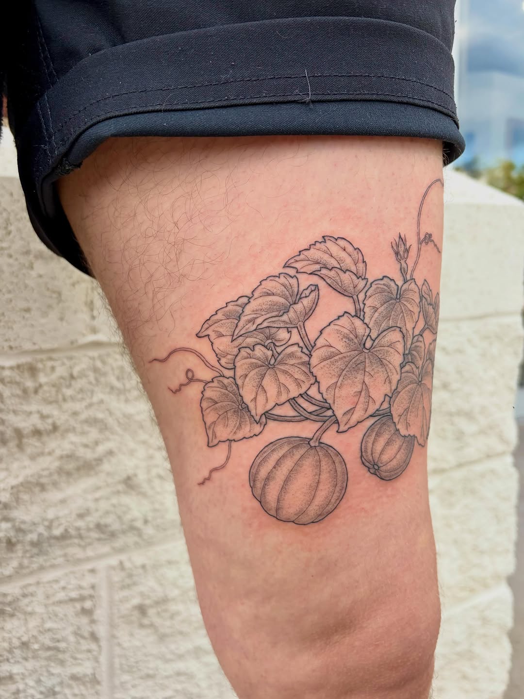 Tattoo by @drawingplantsandthings — black_and_grey
