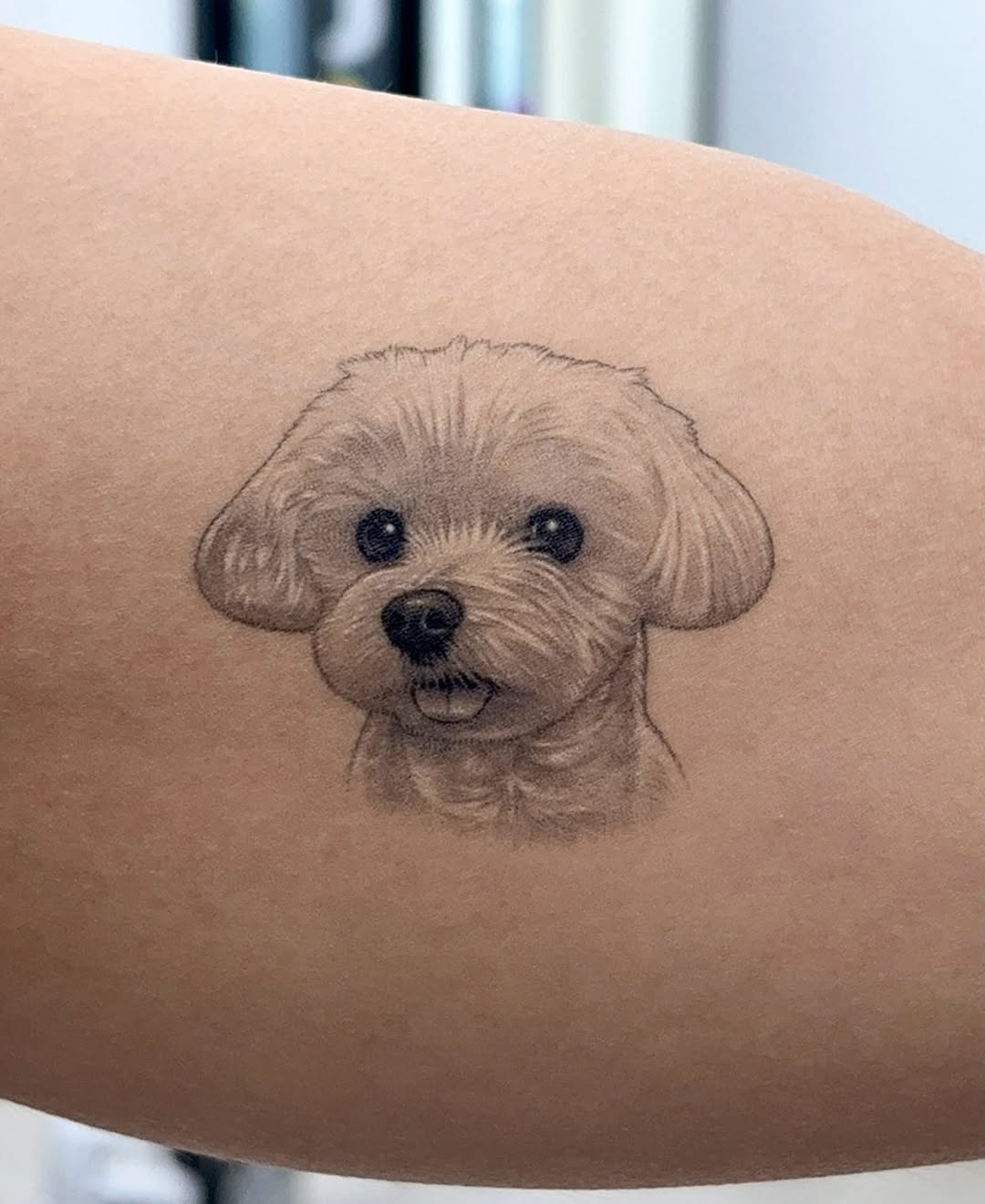 Tattoo by @zeal_tattoo — realism, black_and_grey