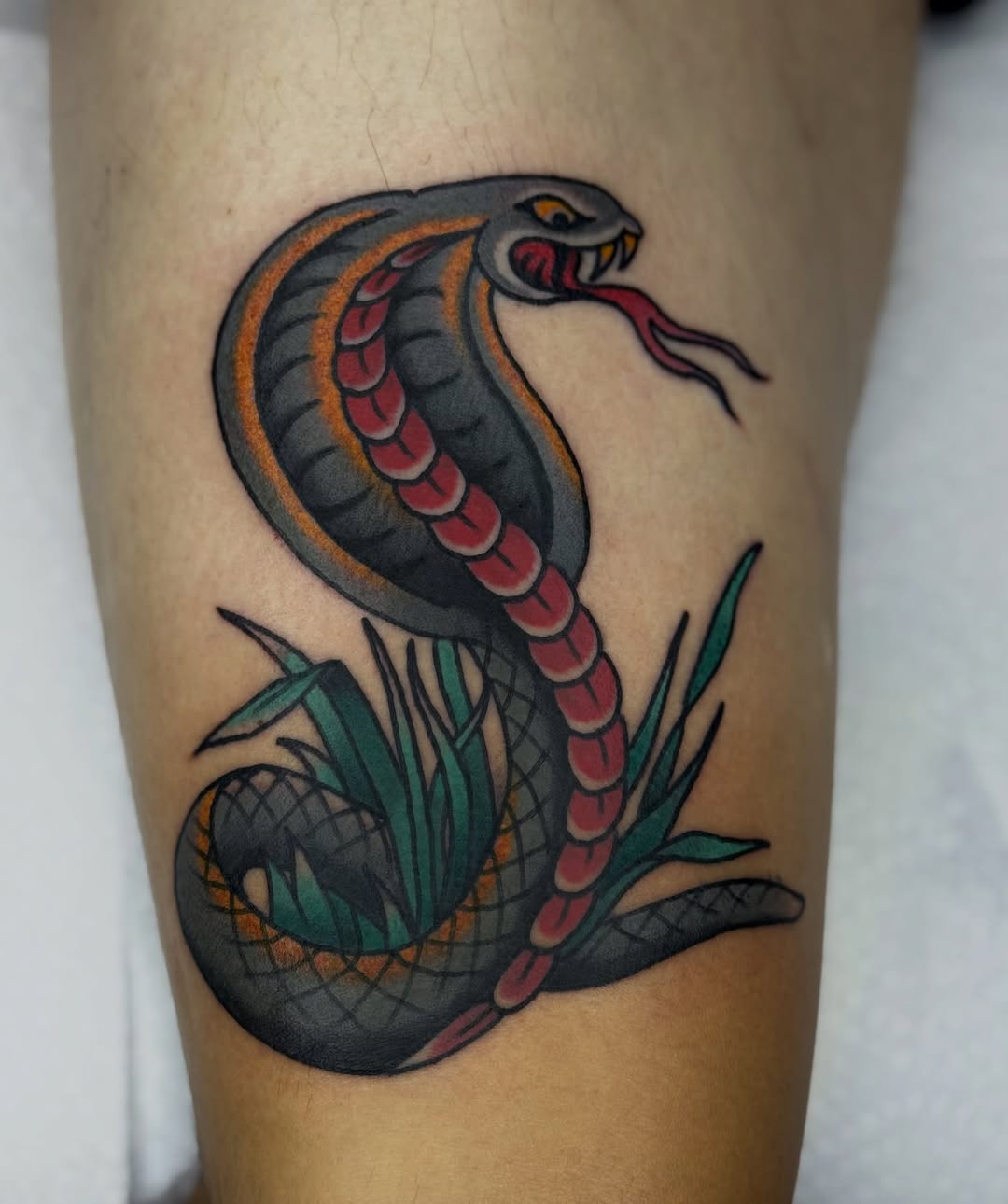 Tattoo by @domlibretti — american_traditional, illustrative