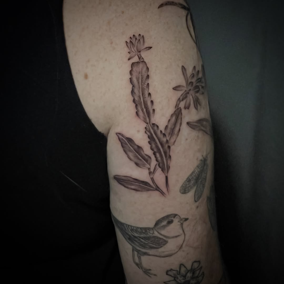 Tattoo by @southpaw.stipple โ black_and_grey, realism